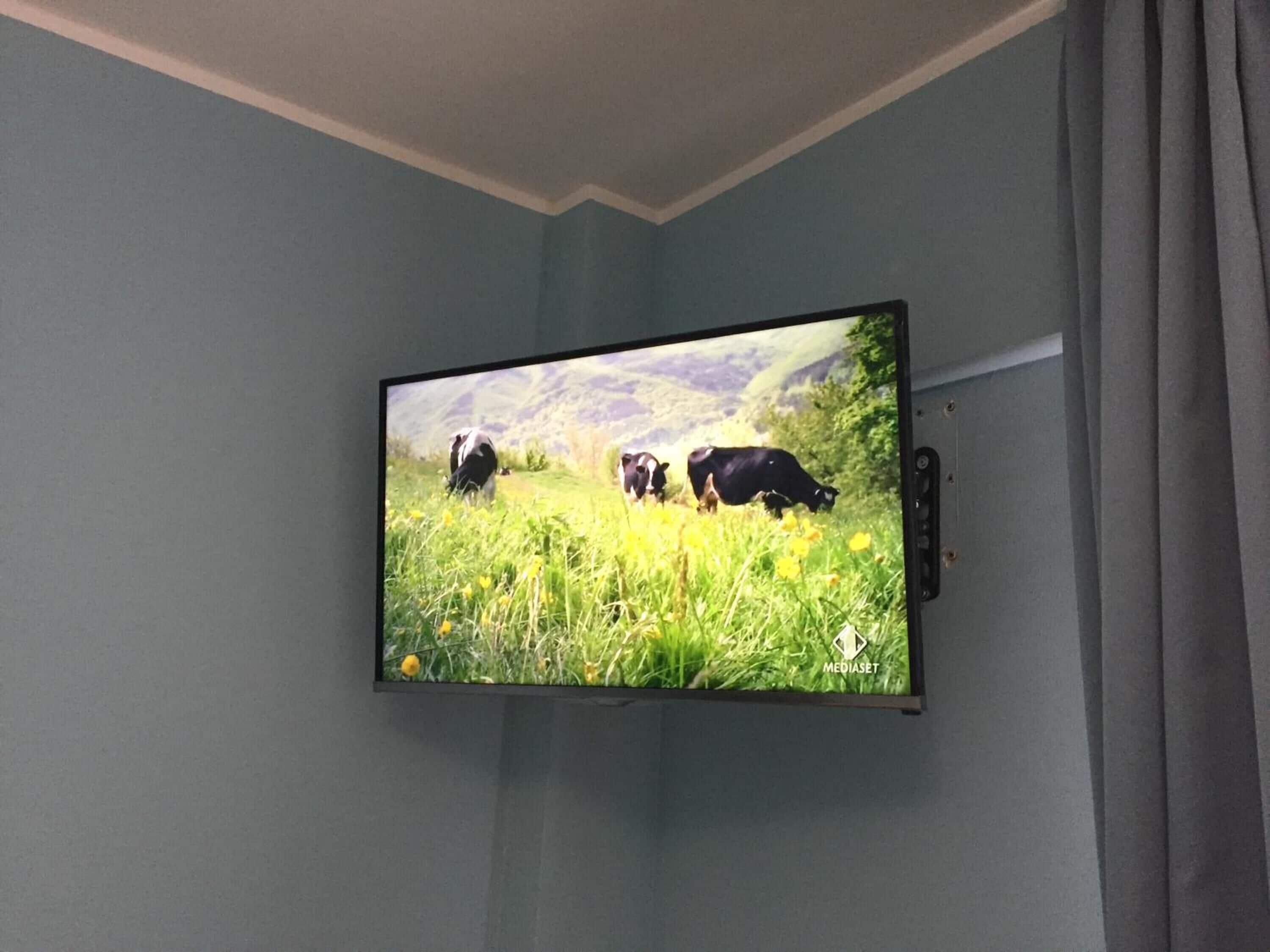 Un televisore a parete mostra un campo con delle mucche.