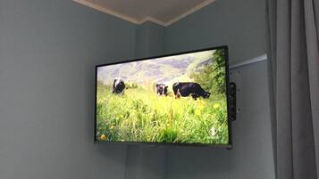 Un televisore a parete mostra un campo con delle mucche.