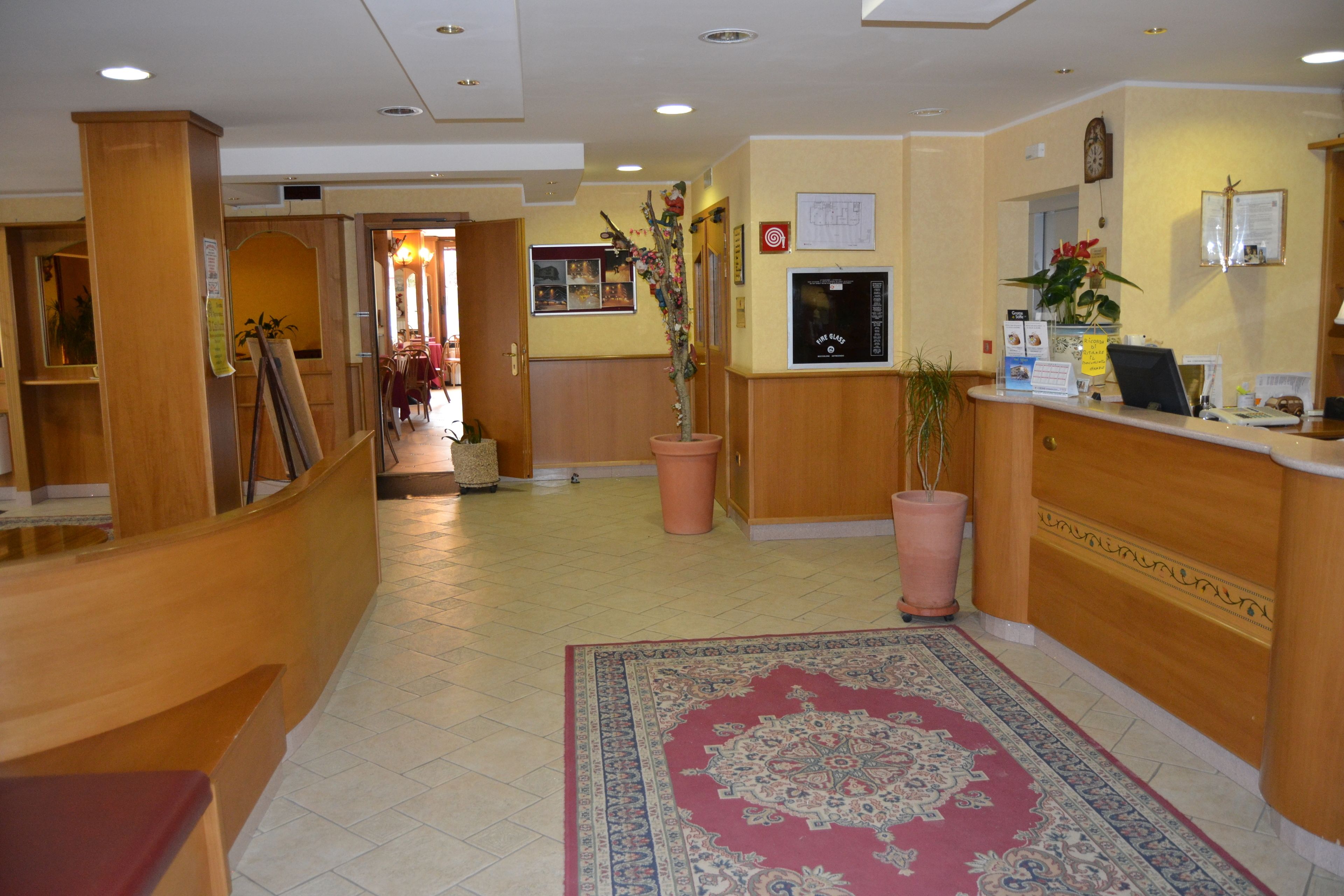 Zona de recepción de un hotel con un mostrador de madera, una alfombra decorativa grande, plantas en macetas y un televisor montado en la pared.