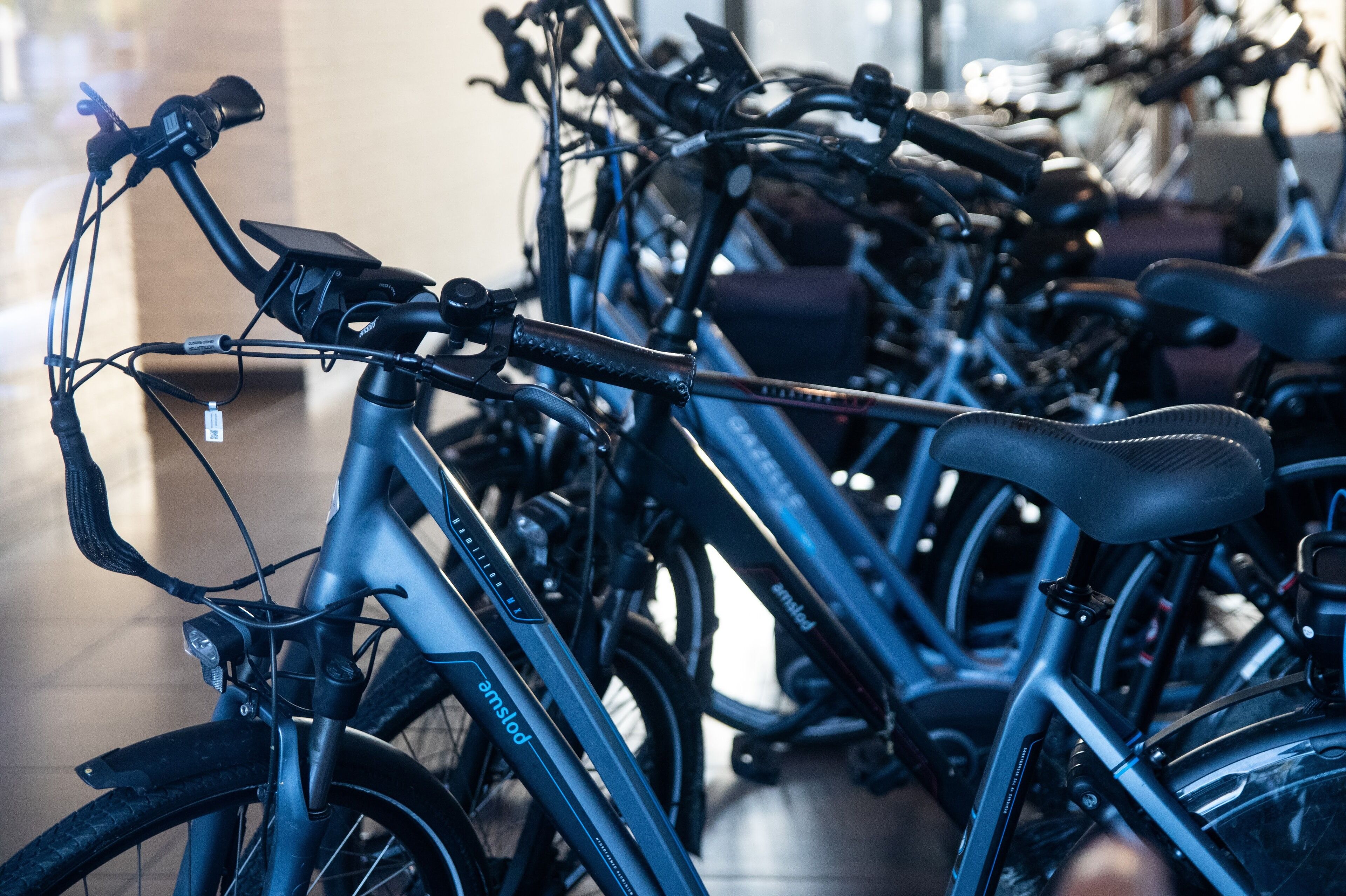 Varias bicicletas están estacionadas en un local, probablemente una tienda de alquiler.