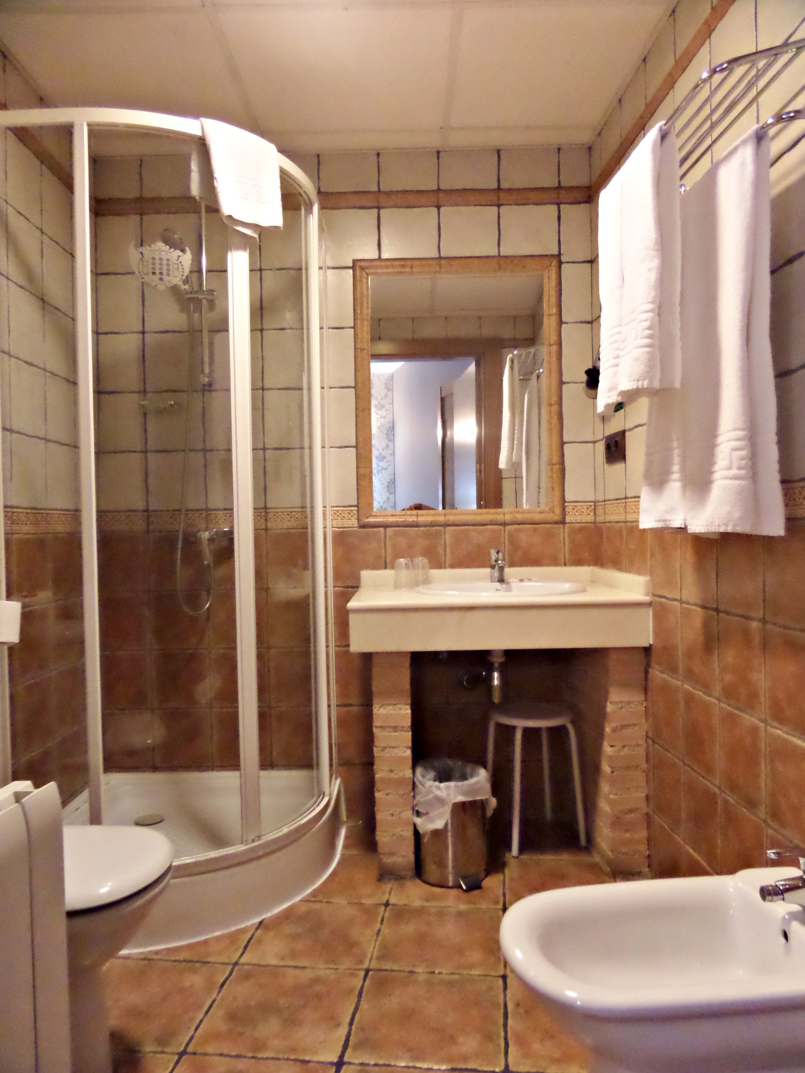 shower, free toiletries, bidet, towels