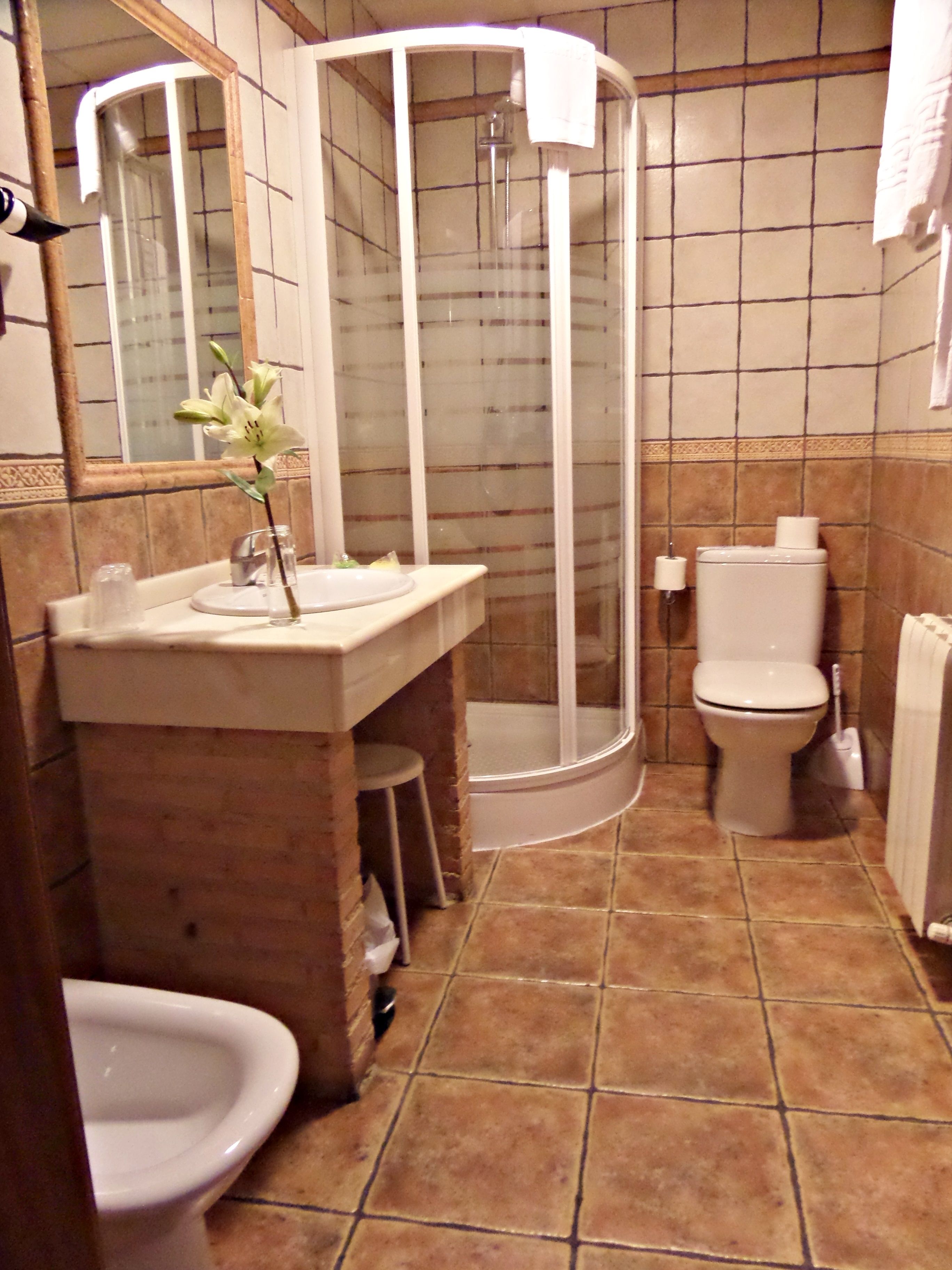 double room | bathroom | shower, free toiletries, bidet, towels