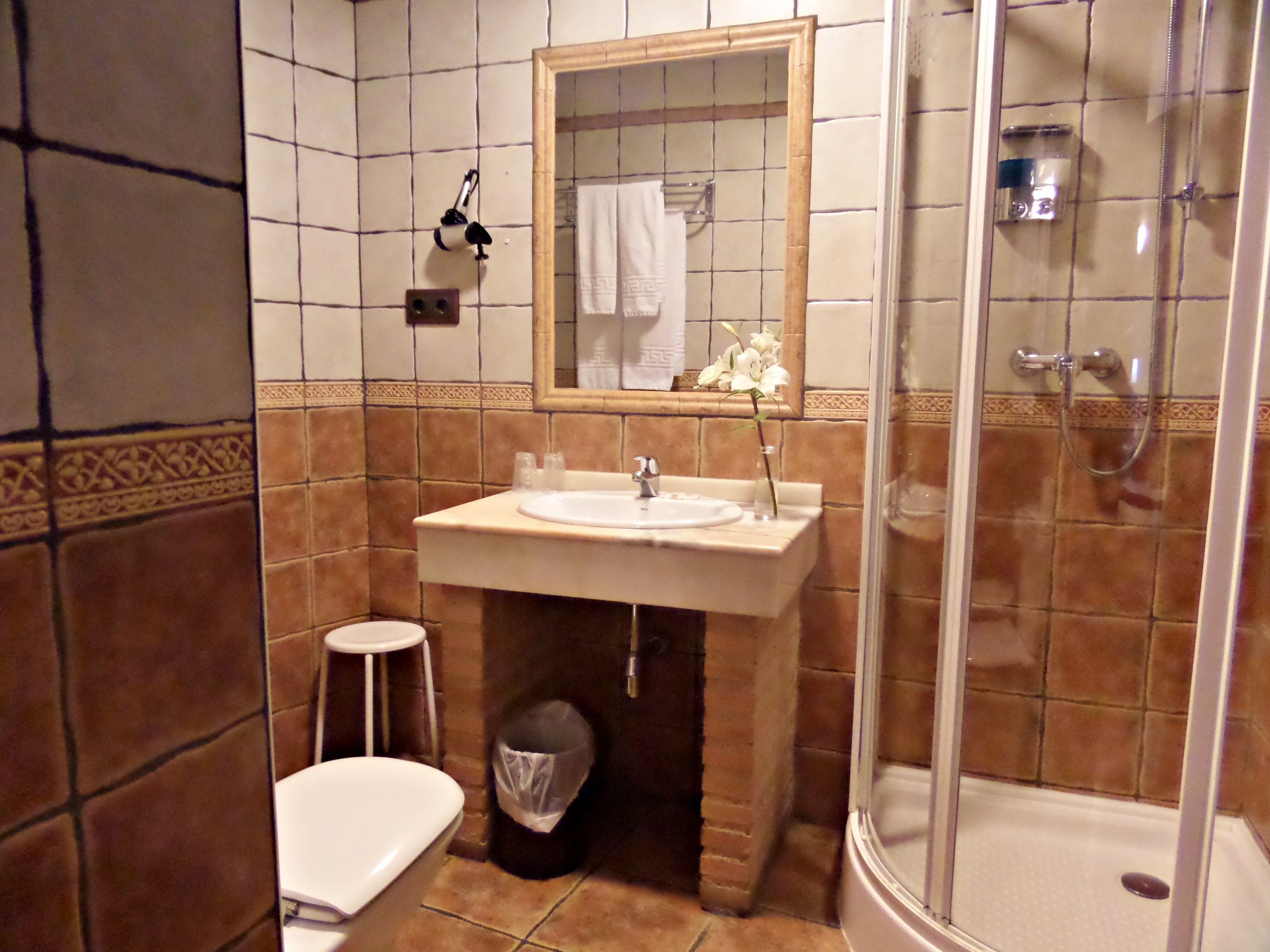 shower, free toiletries, bidet, towels