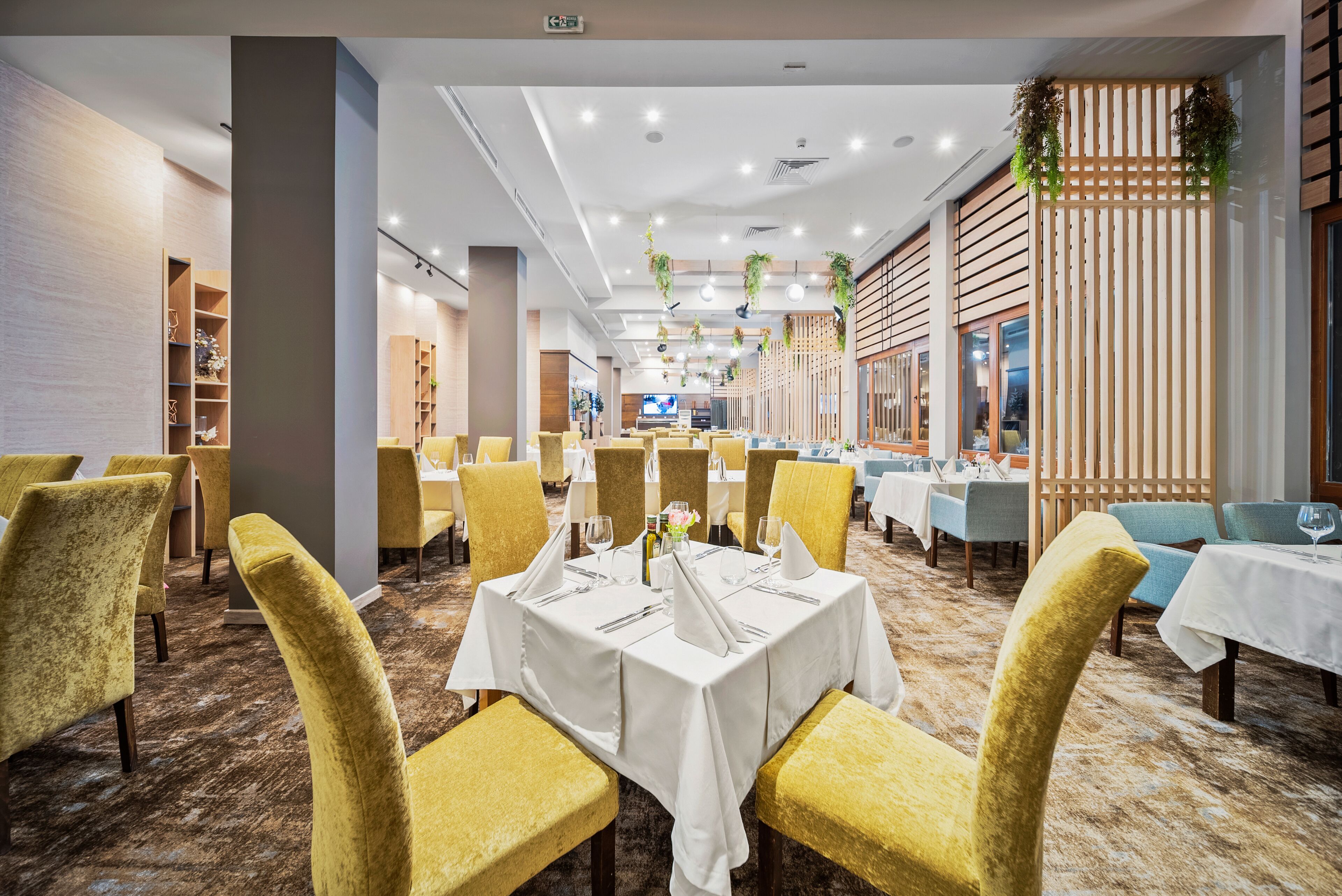 A restaurant with yellow chairs, white tablecloths, and hanging plants.
