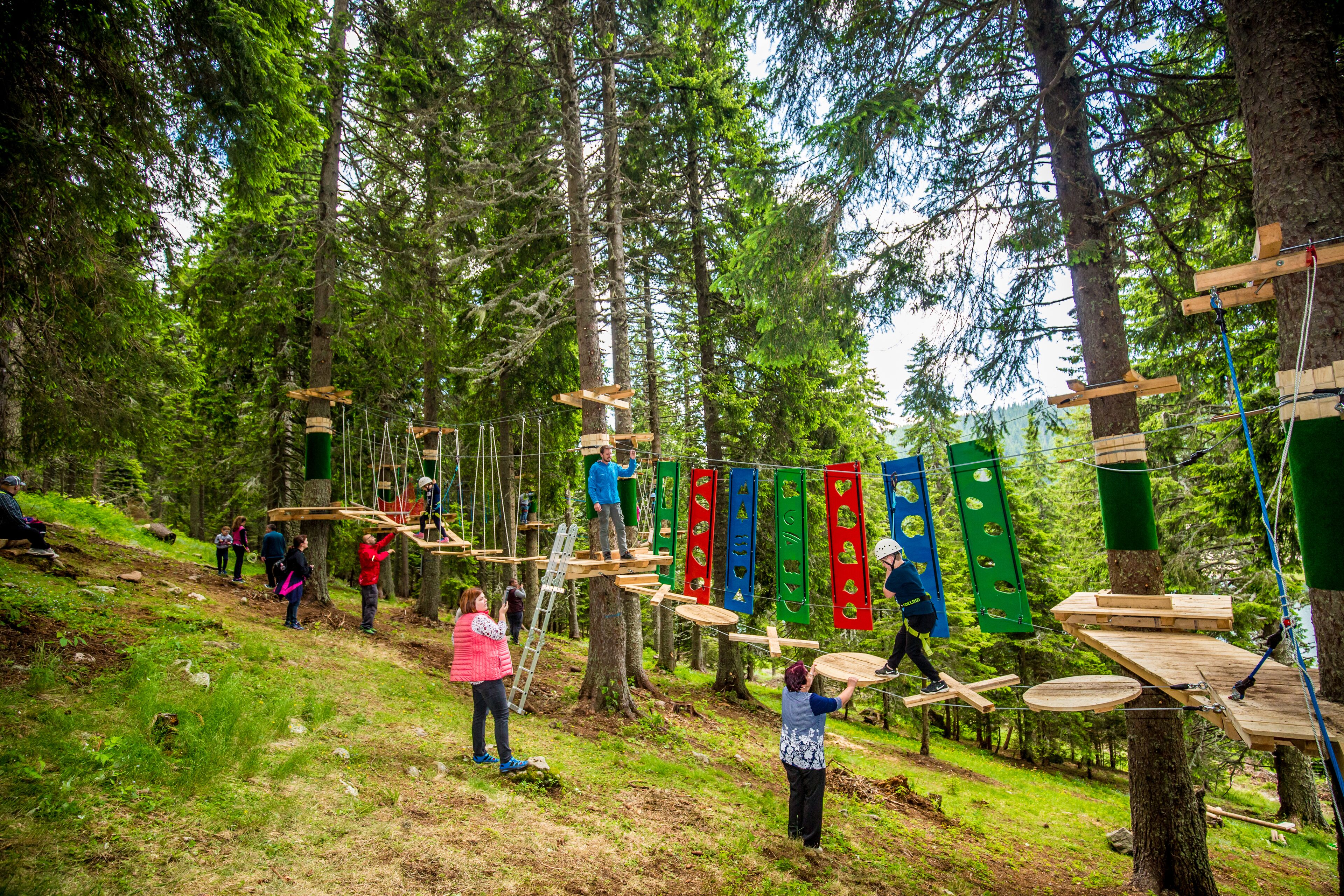 A group of people engaging in an outdoor activity involving wooden platforms and ropes in a forested area.