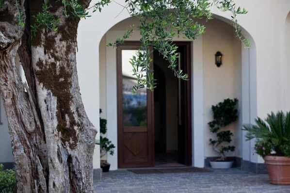 Fachada de edificio con un árbol grande, un arco de entrada y plantas en macetas.