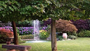 A garden with a fountain, benches, and various plants. - Hotel Ristorante La Torretta (Bianze)