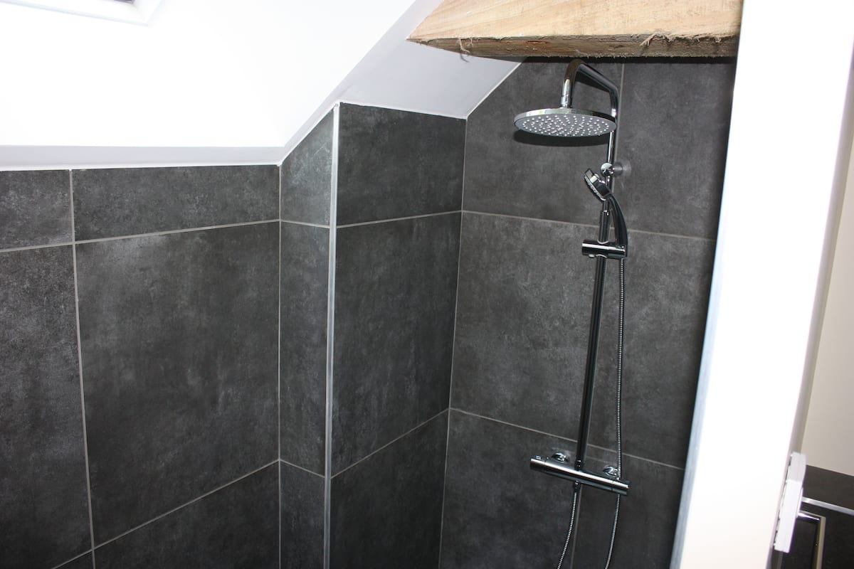 royal suite | bathroom | shower, free toiletries, hair dryer, towels