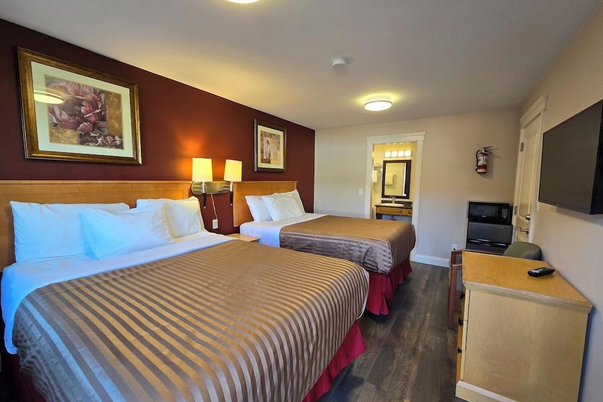 Habitación de hotel con dos camas, televisión, escritorio y espejo.