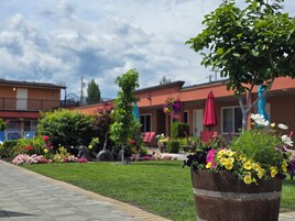 Γεύματα σε εξωτερικό χώρο