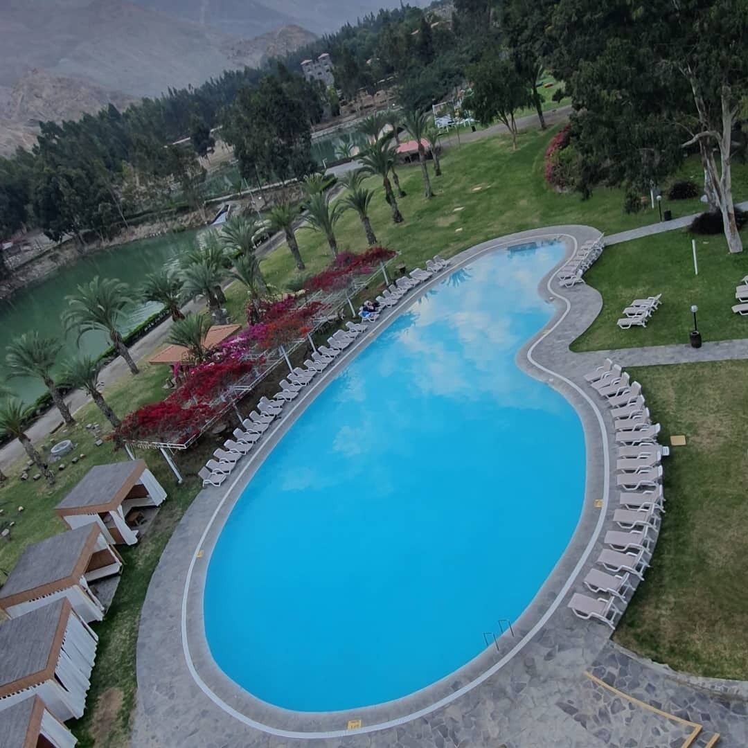 Una piscina grande y ovalada con borde curvo, rodeada de sillas de descanso y un sendero.