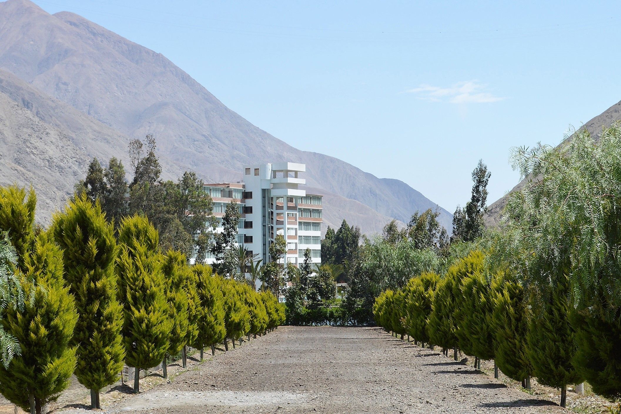 Un edificio moderno con estructura de varios pisos, rodeado por una fila de árboles de hoja perenne bien cuidados.