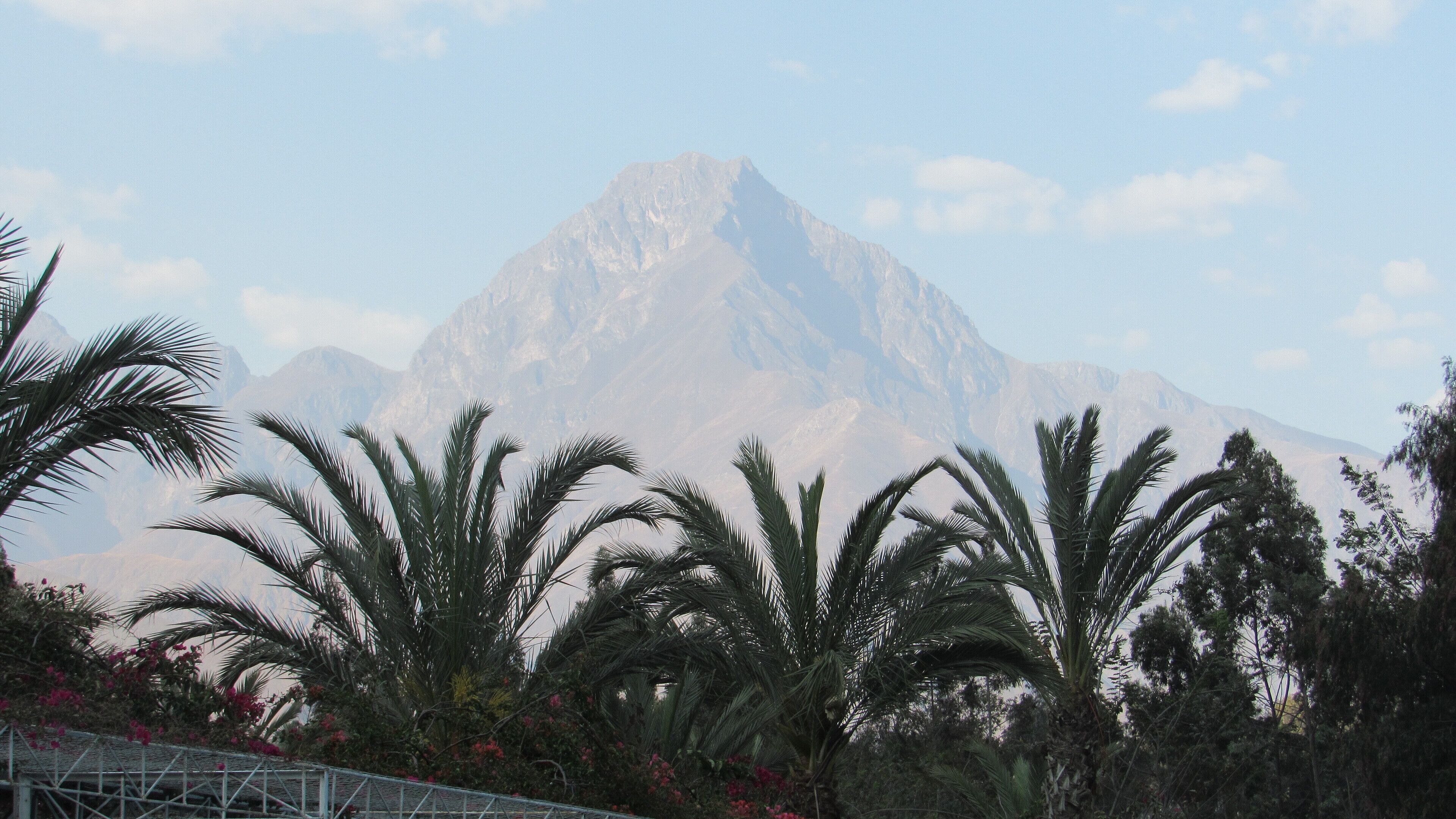 A mountain with palm trees in the foreground.
