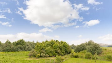 Un campo cubierto de hierba con árboles y un edificio al fondo.
