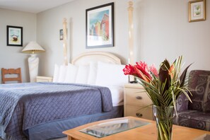 Habitación, 1 cama King size y sofá cama | Caja de seguridad en la habitación y escritorio 