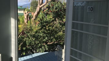 Bed in 4 Bed Mixed Dormitory Room | View from room