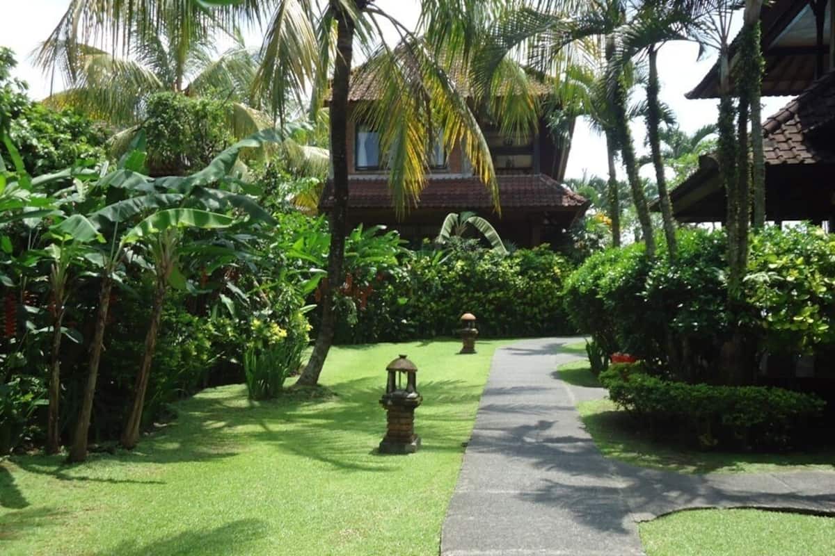 Rom – superior | Minibar, safe på rommet, skrivebord og strykejern/-brett