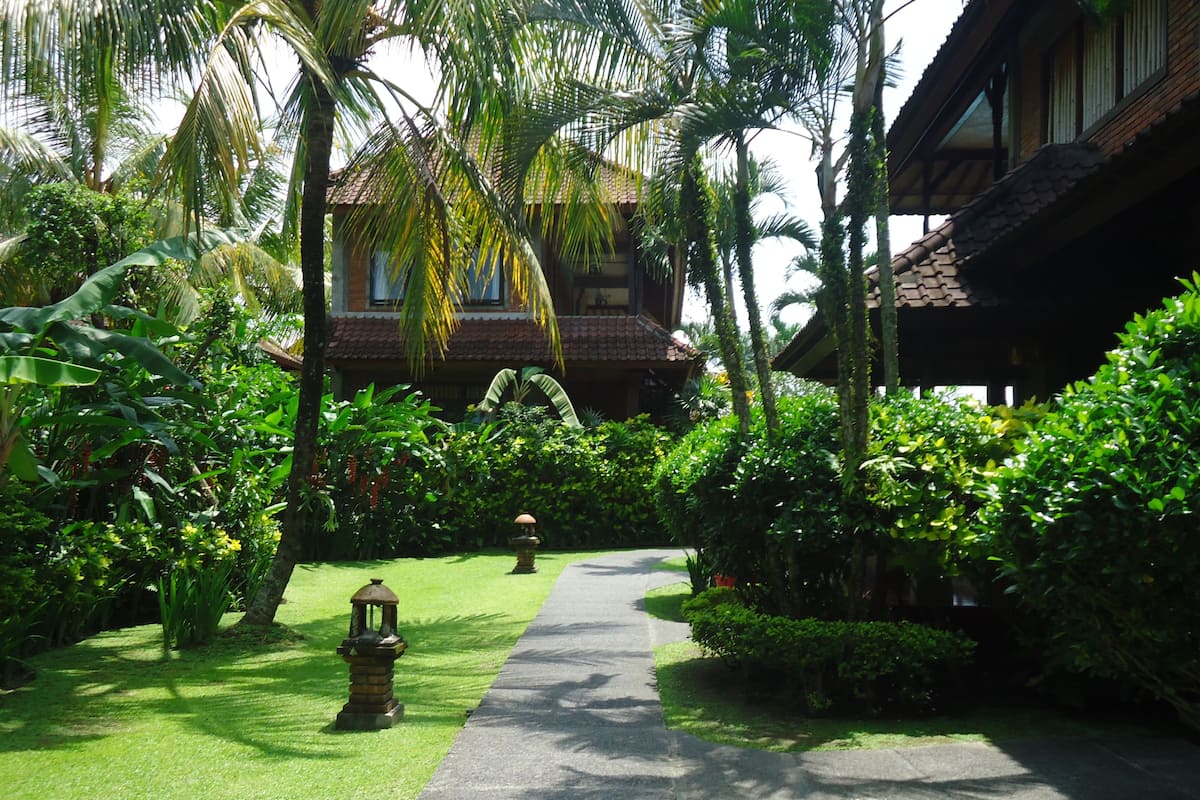 A pathway leading to a building surrounded by lush greenery and palm trees.