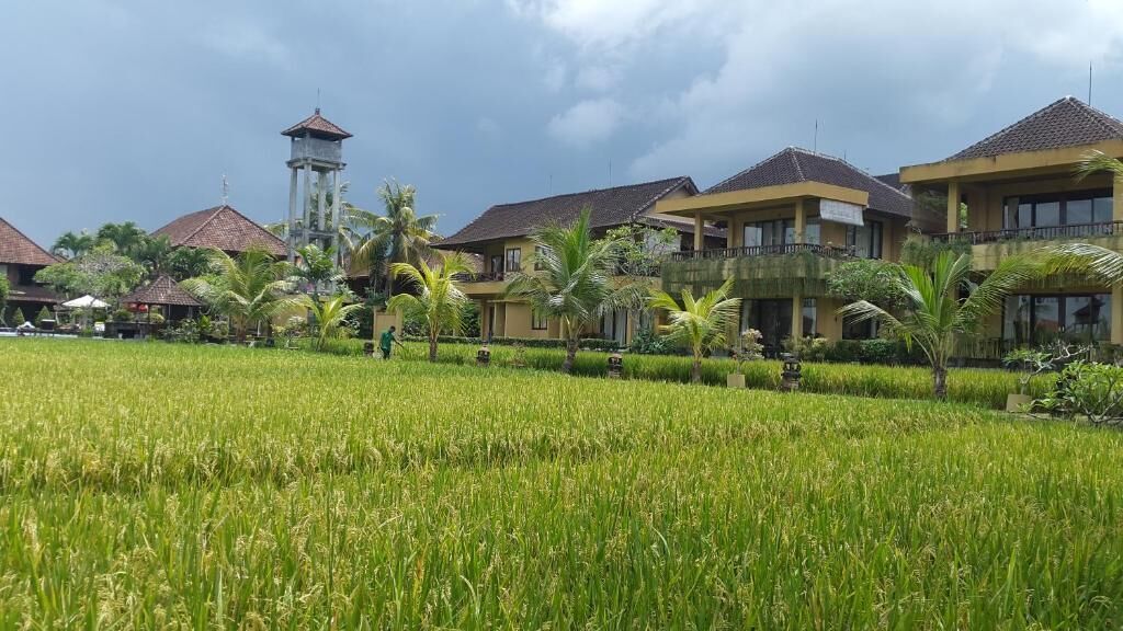 Minibar, safe på rommet, skrivebord og strykejern/-brett