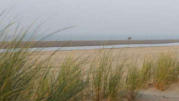 Nära stranden