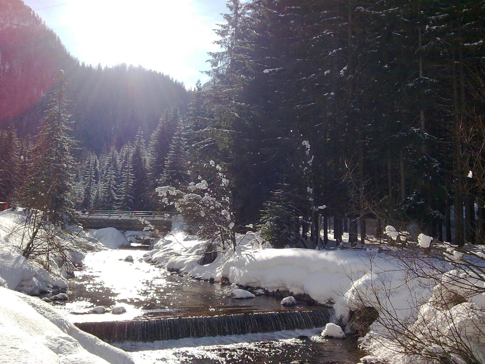 Schneebedeckte Landschaft mit einem kleinen Wasserfall und dichten Nadelbäumen.