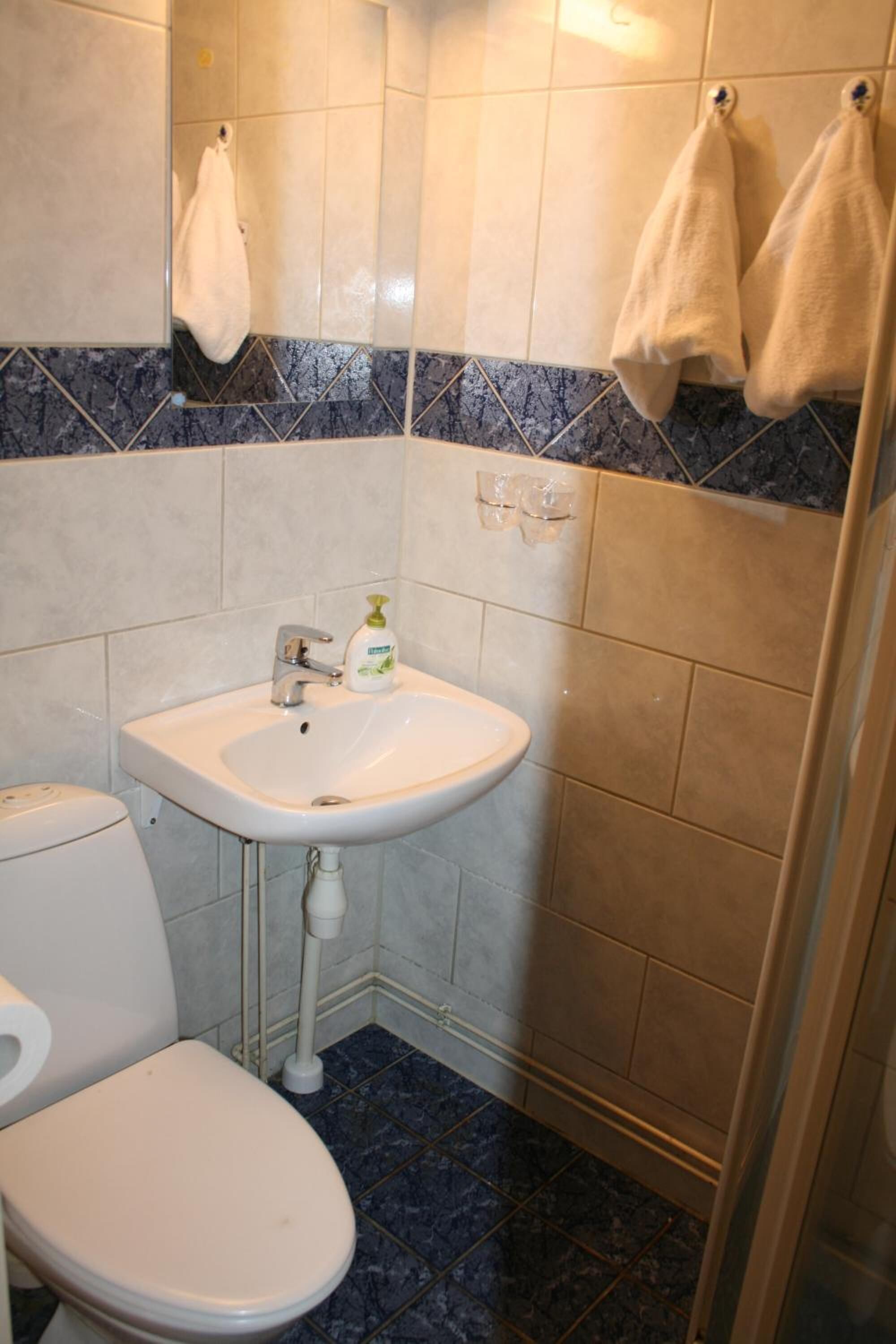 Een badkamer met een wit toilet, een wastafel met zeepdispenser en een douchegedeelte.