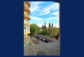 Vista desde la propiedad