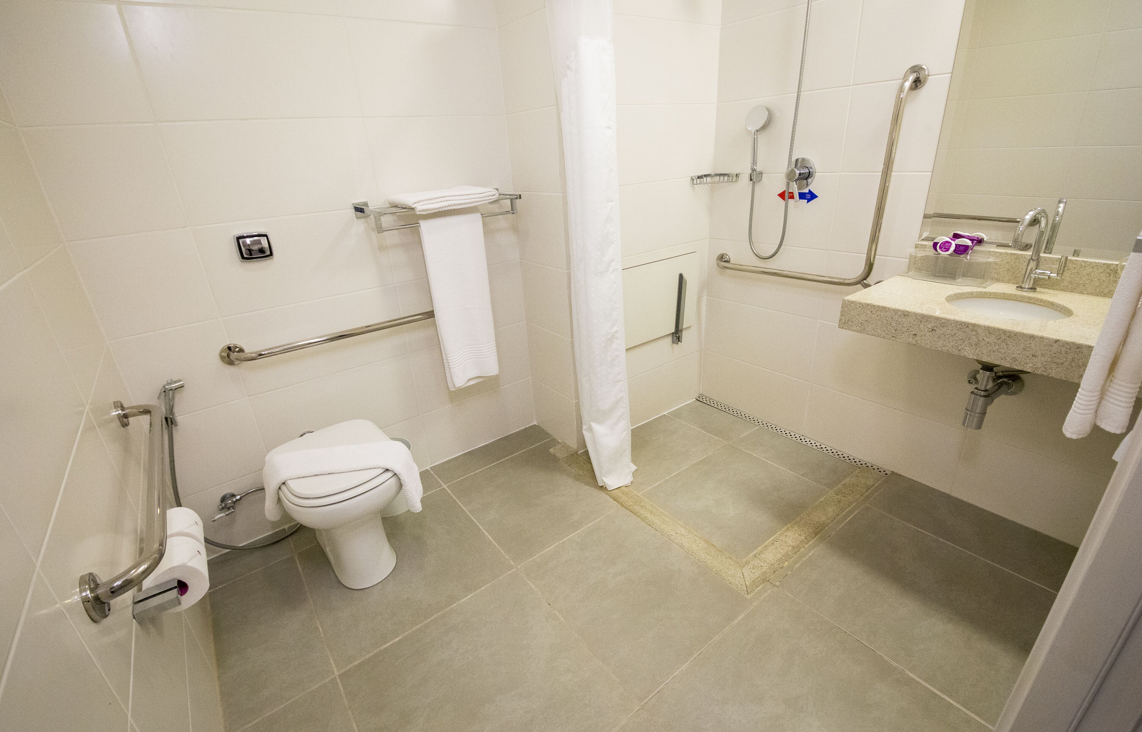 A bathroom with a toilet, grab bars, a shower with a handheld showerhead, a sink, and a mirror.
