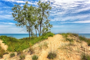 A coastal landscape with dunes, vegetation, and trees. - Staybridge Suites Schererville by IHG (Schererville)