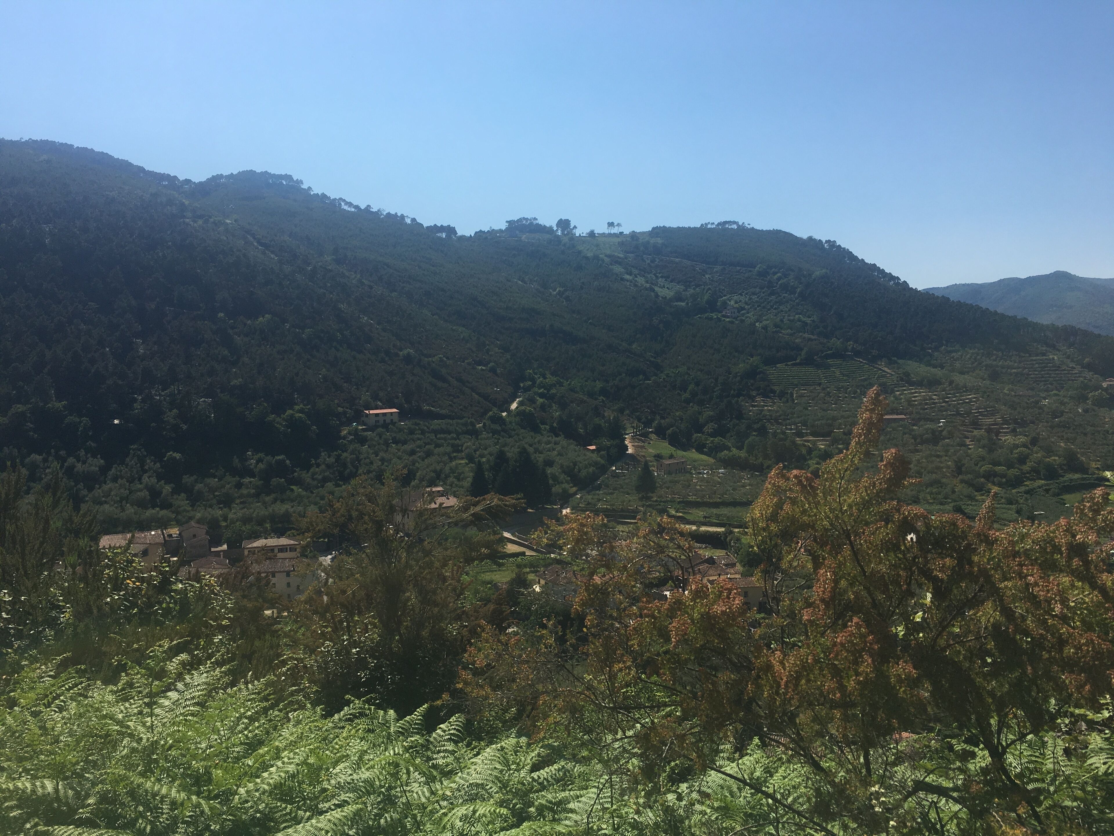 Un paisaje montañoso con campos en terrazas y edificios dispersos.