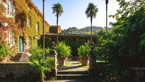 Un patio con un sendero de piedra, plantas en macetas y un edificio cubierto de hiedra.