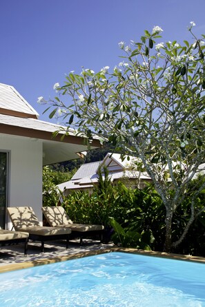 室外游泳池，提供泳池遮陽傘和日光浴躺椅