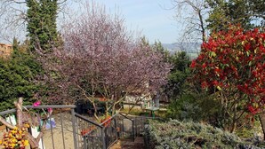 花園