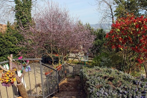 La Fattoria Bellandi