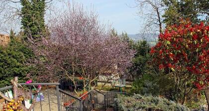 La Fattoria Bellandi