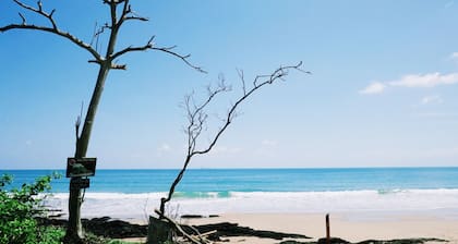 Lanta Mermaid Boutique House
