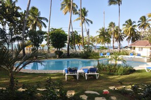 A swimming pool with lounge chairs, surrounded by palm trees and a view of the sea. - Hotel Residence Marilar (Las Terrenas)