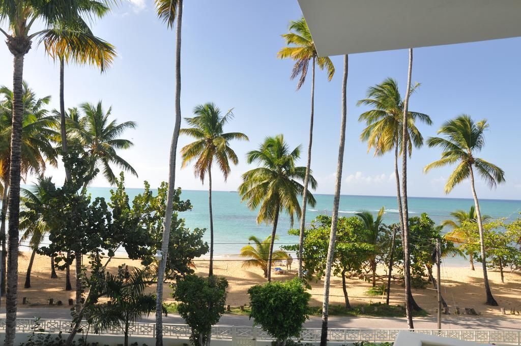 A beach view with palm trees and a clear sky.