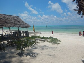 Ubicación a pie de playa, bar en la playa y pesca