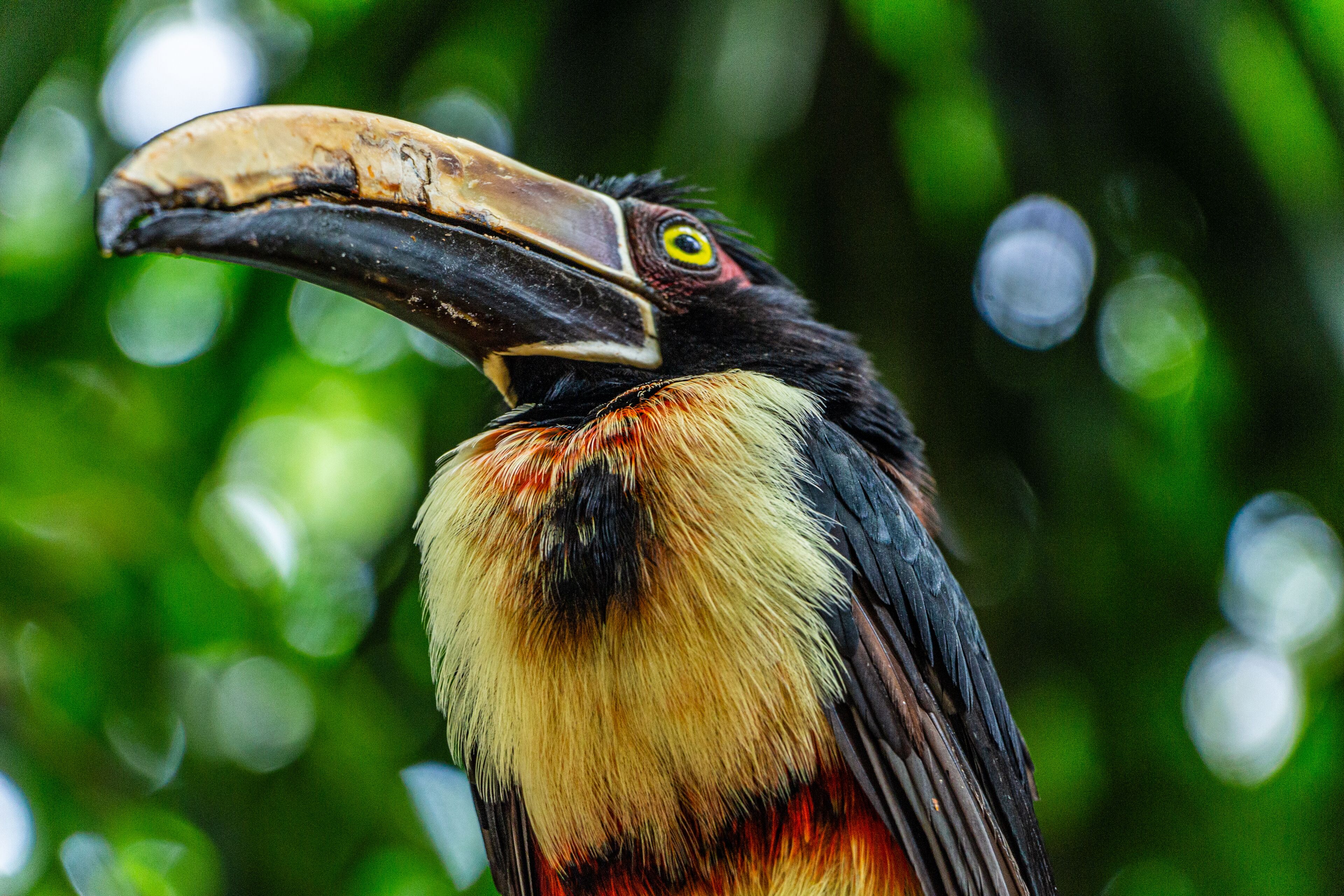 Foto - GHL Corales de Indias