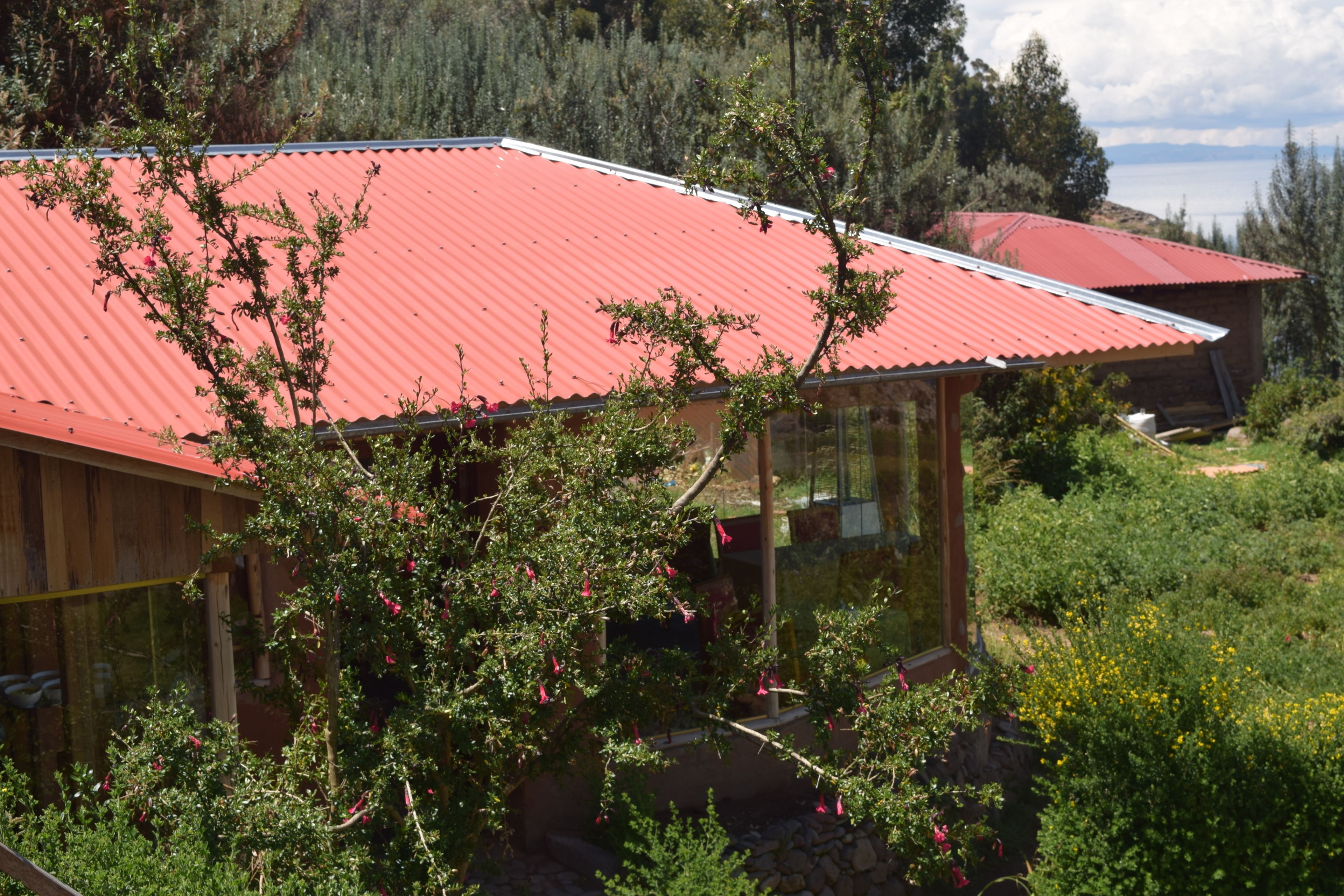 single room | view from room