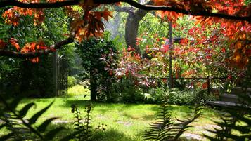 Suite, 1 King-Bett, Badewanne, zum Garten hin | Blick auf den Garten