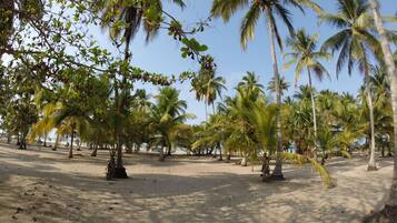 On the beach, white sand, free beach cabanas, sun-loungers