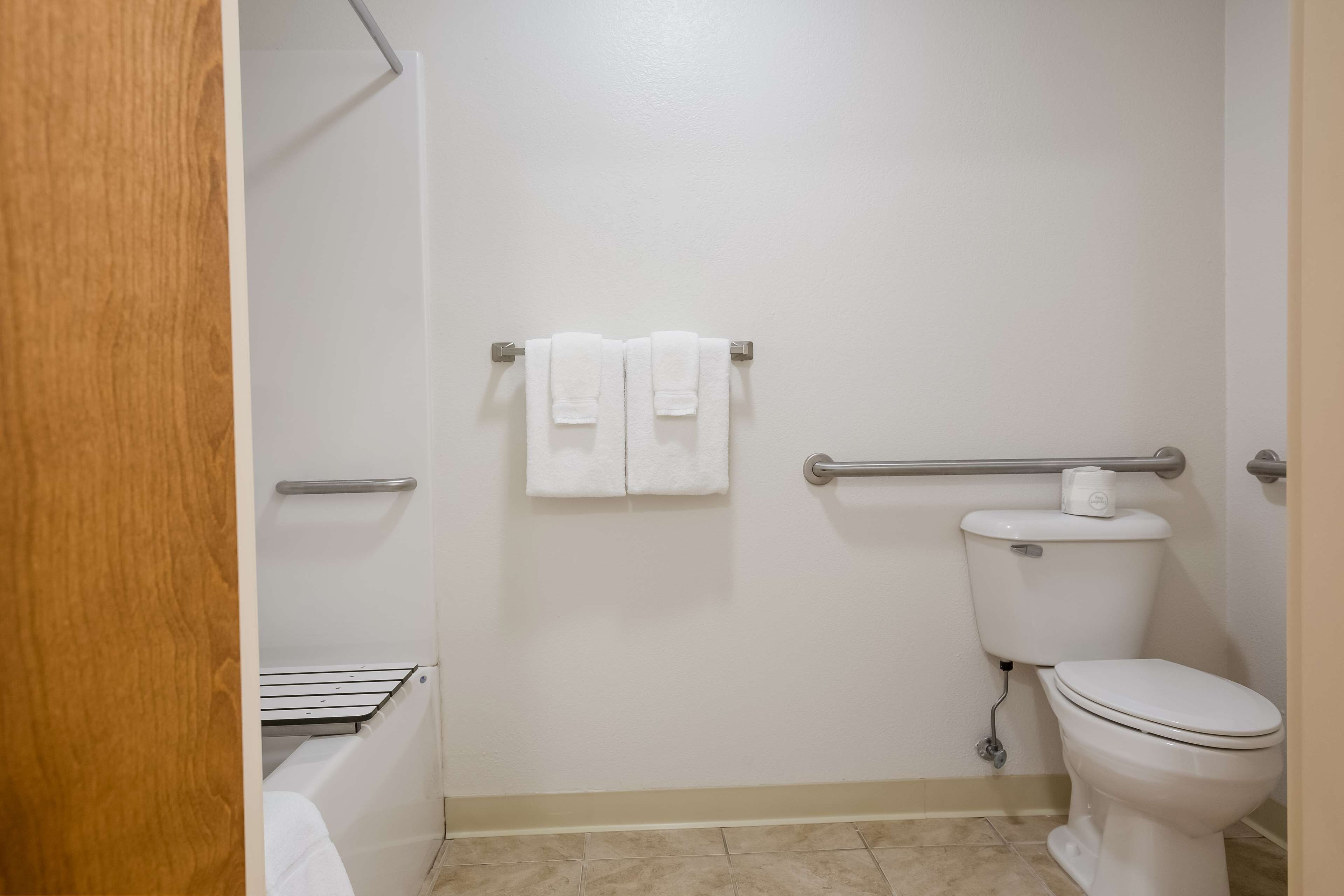 standard room, 1 queen bed, accessible, non smoking | accessible bathroom