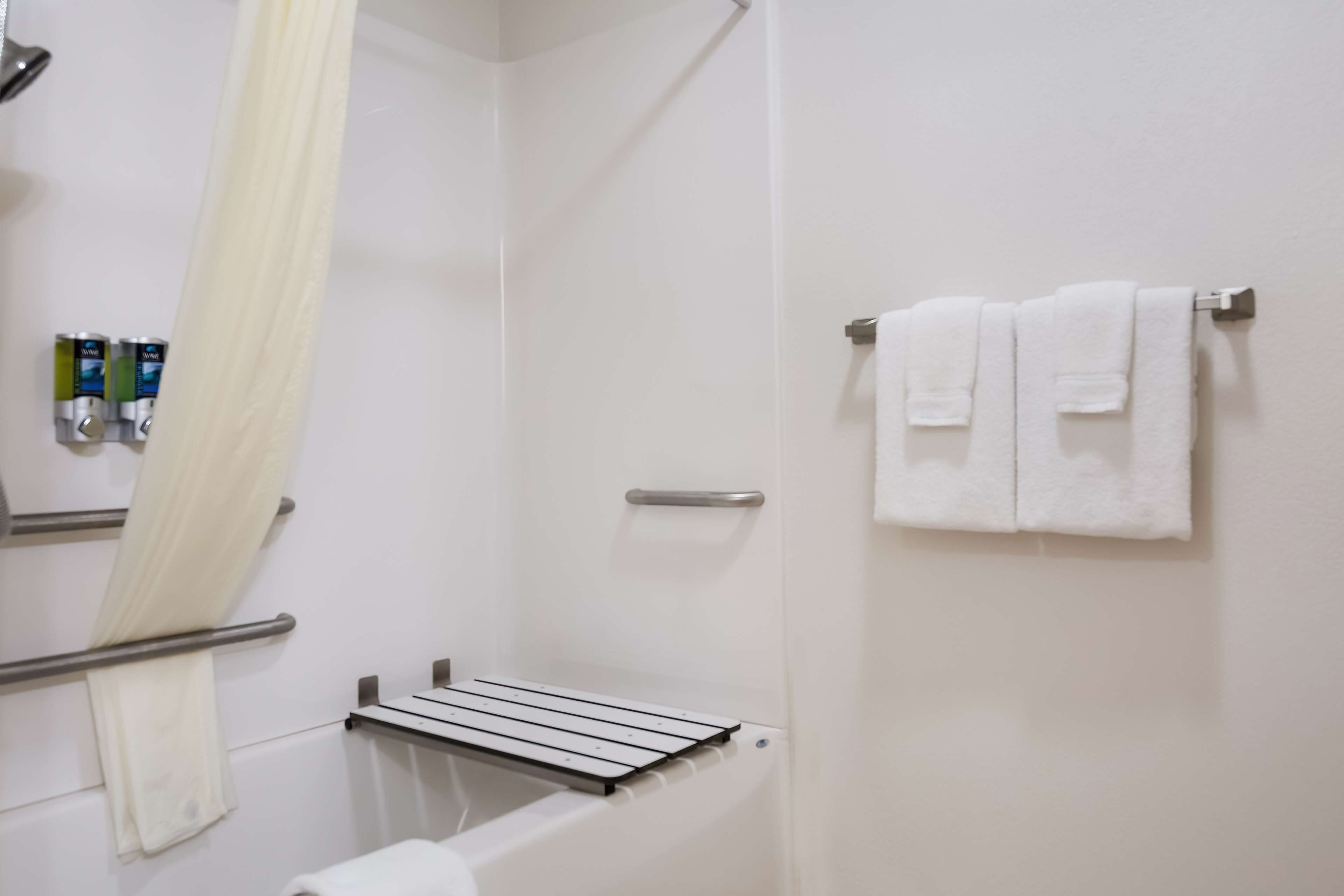 standard room, 1 queen bed, accessible, non smoking | accessible bathroom