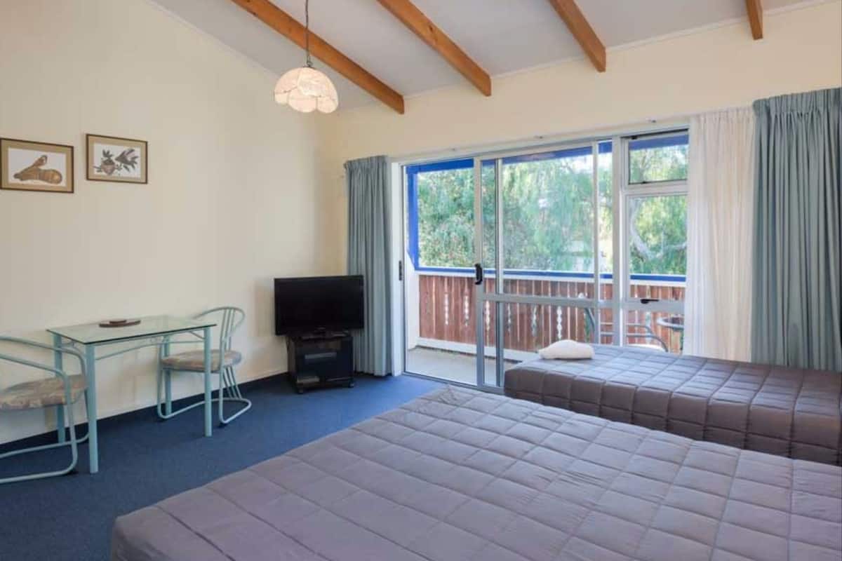 A room with two beds, a TV, a desk, and a chair.