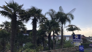 A brick wall with palm trees, a motel sign, and a sign for a heated swimming pool. - Edelweiss Motel (Paihia)