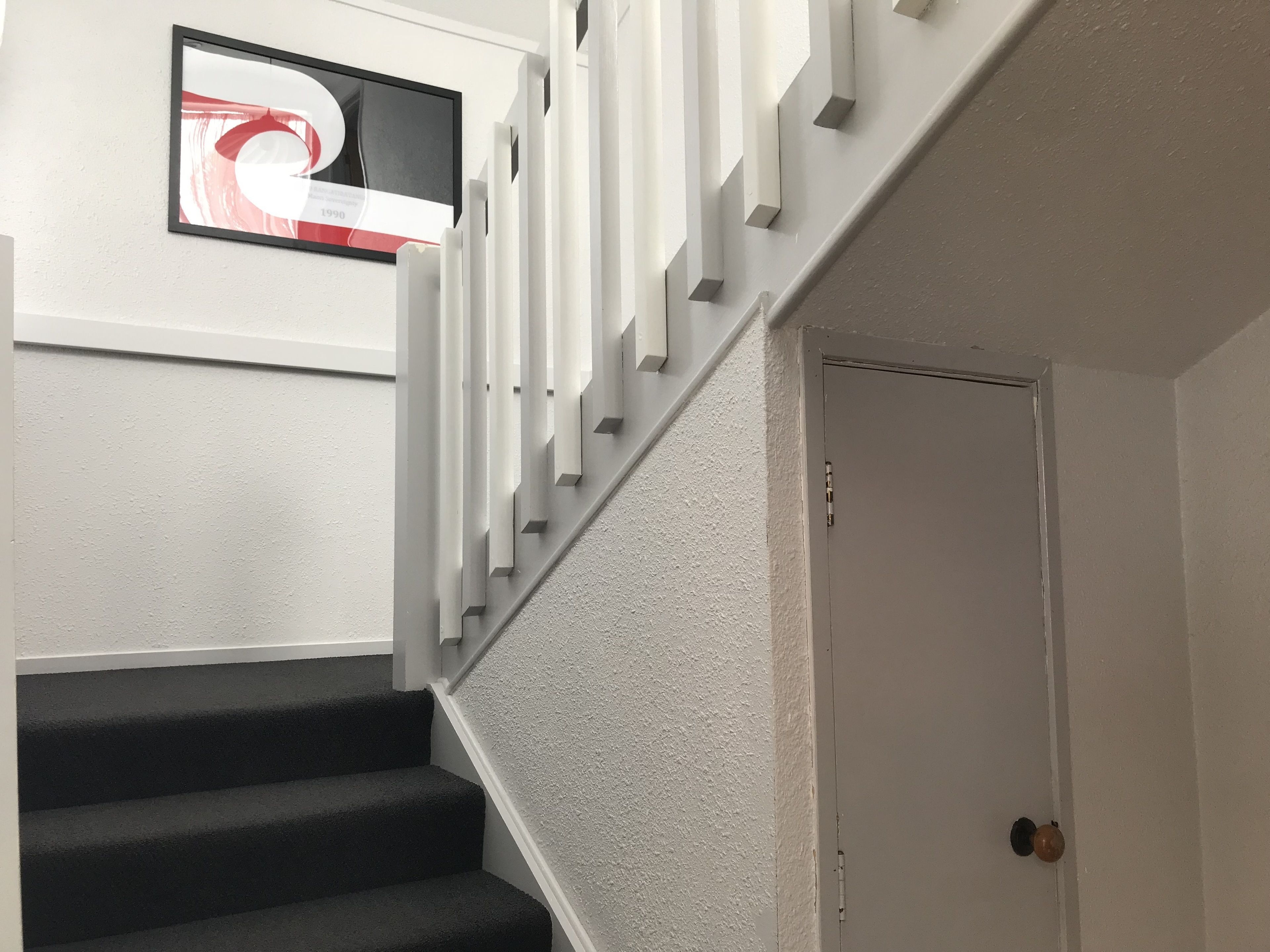 A staircase with a white handrail and a door at the bottom.