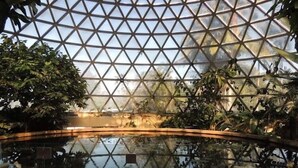 A greenhouse with a glass ceiling, a water feature, and various plants.