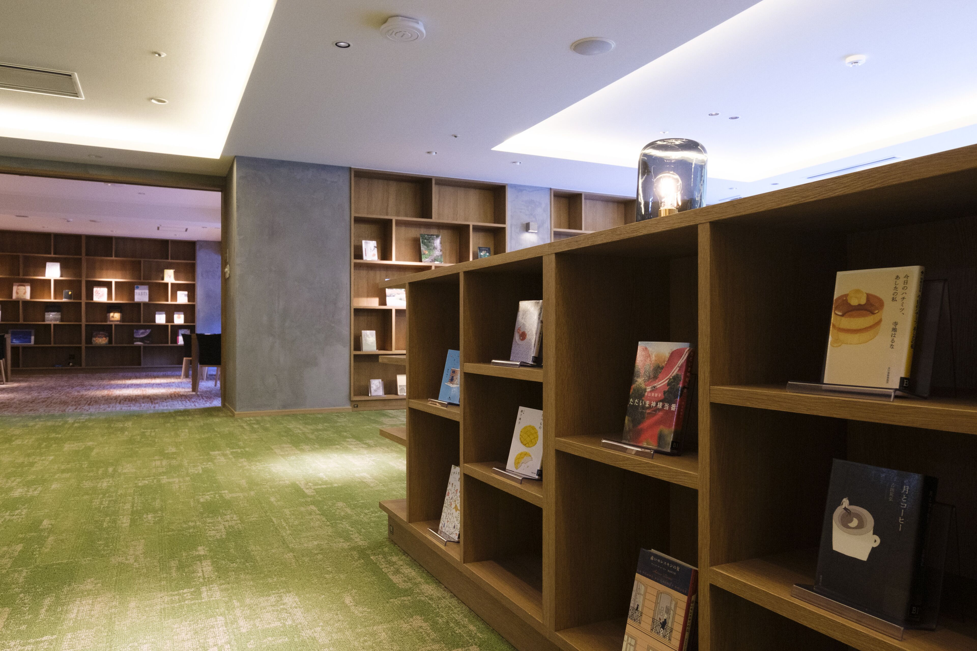 A library with wooden bookshelves and a green carpeted floor.